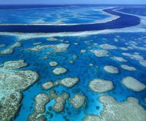 yapboz Great Barrier Reef, dünya çapında en büyük mercan kayalıkları. Avustralya.
